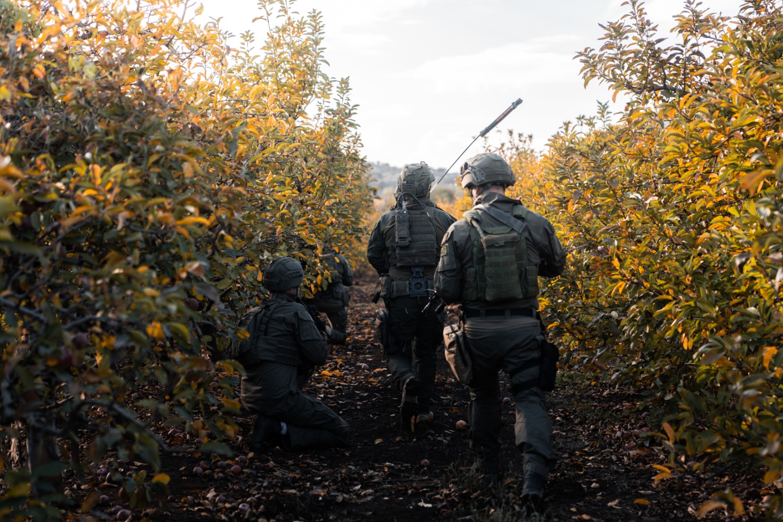 תמונה מהשטח 5